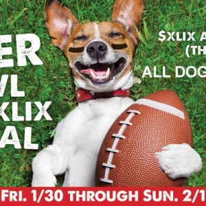 Adoption Promo.Super Bowl 2015