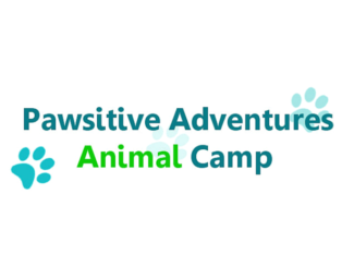 Pawsitive Adventures Animal Camp