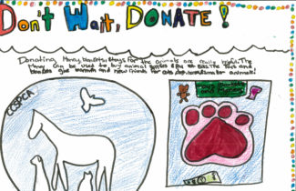 Bookmark & Poster Contest