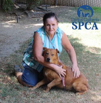 Forever Home Found for Last Dog