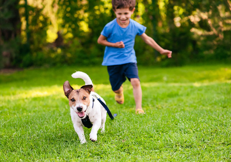What is the Best Pet for Kids? Adding a New Family Member Central